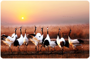 ��ꖾW(w��ng)��O(sh��)Ӌ(j��)