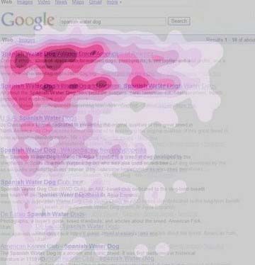 �ȸ��۹��ۙ���Y���D