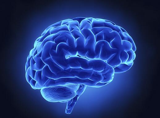 ��I(y��)�W(w��ng)վ���O(sh��)֮�W(w��ng)��O(sh��)Ӌ(j��)����Ҫ��