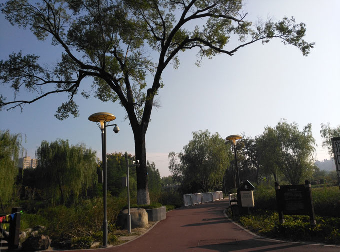 �}�^���@̫���M