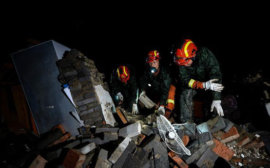 �鸷������