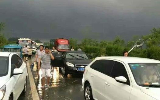 �鸷������