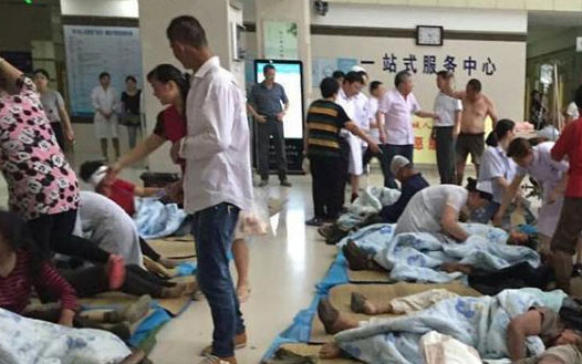 �鸷������