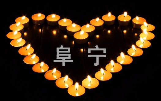 �鸷������