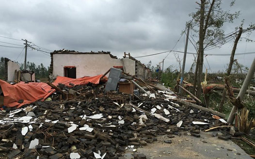 �鸷������