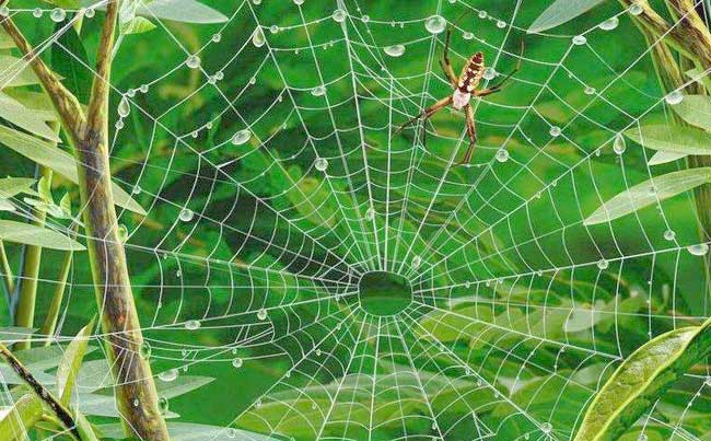 ��I(y��)��Θ�(g��u)����Ч�W(w��ng)�j(lu��)�I�N�wϵ