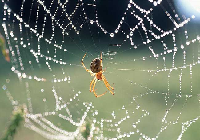 �W(w��ng)�j(lu��)