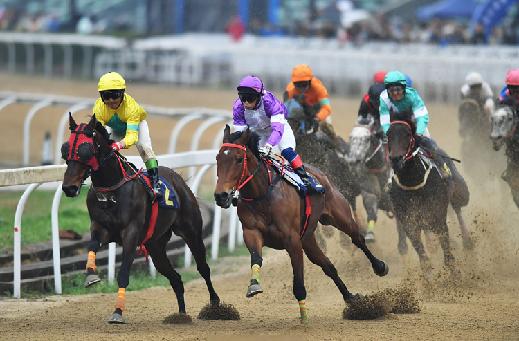 ���S��ҕ�l�ƏV����ِ�R�C��