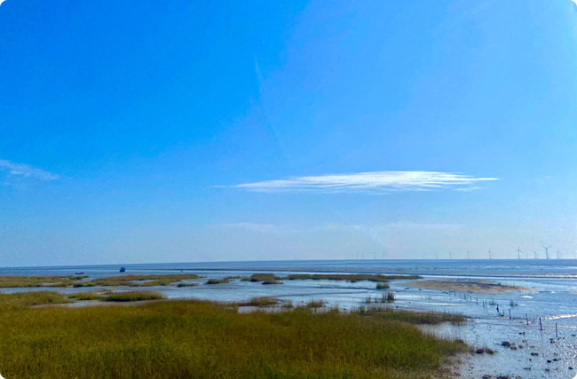 �}�Ǻ������B(t��i)�ޏ�(f��)