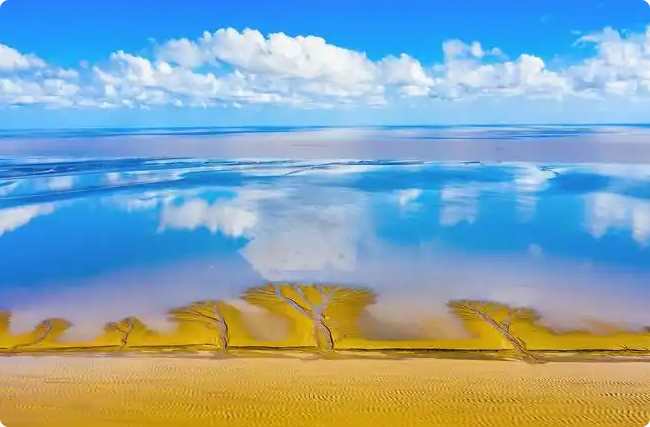 �}�Ǻ������B(t��i)�ޏ�(f��)