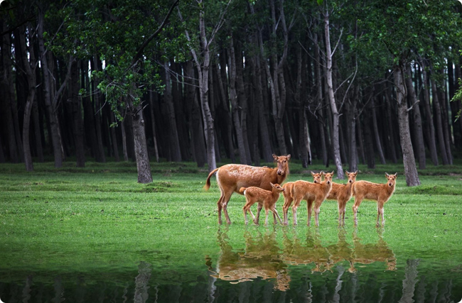 �}�Ǻ������B(t��i)�ޏ�(f��)