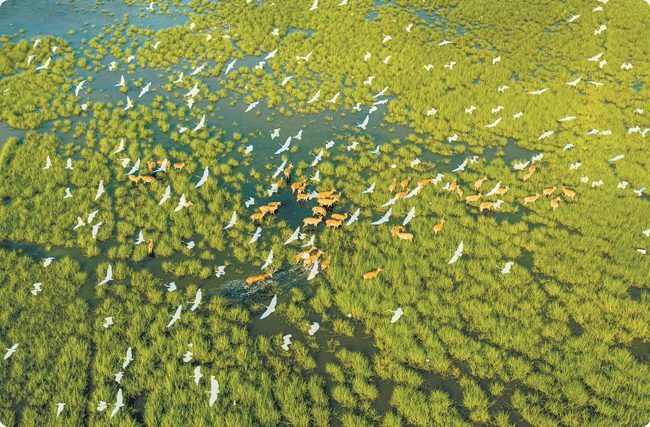 �}�Ǻ������B(t��i)�ޏ�(f��)