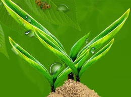 �}���ʺ̈@ˇ�������޹�˾